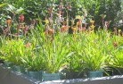 Koloonaplant-nursery-17.jpg; ?>