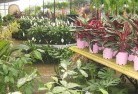 Koloonaplant-nursery-7.jpg; ?>